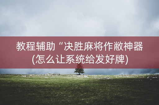 教程辅助“决胜麻将作敝神器(怎么让系统给发好牌)