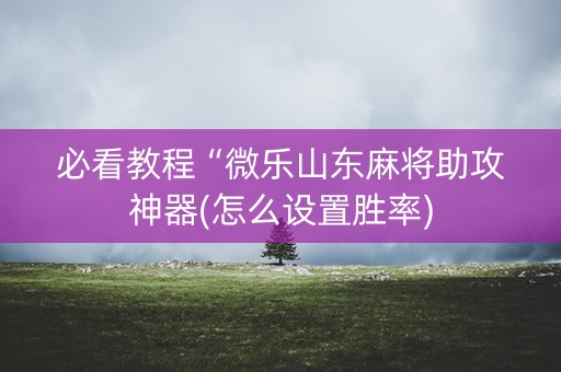 必看教程“微乐山东麻将助攻神器(怎么设置胜率)
