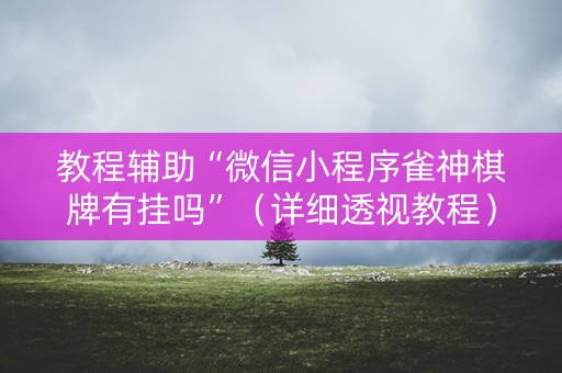 教程辅助“微信小程序雀神棋牌有挂吗”（详细透视教程）-哔哩哔哩