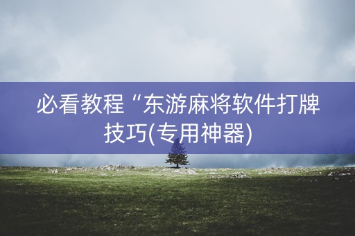 必看教程“东游麻将软件打牌技巧(专用神器)