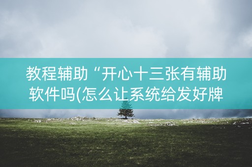 教程辅助“开心十三张有辅助软件吗(怎么让系统给发好牌)
