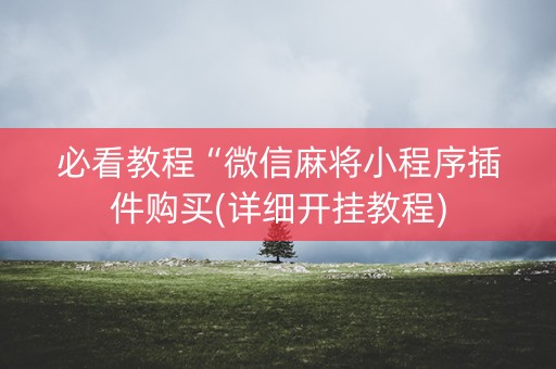 必看教程“微信麻将小程序插件购买(详细开挂教程)