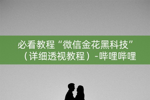 必看教程“微信金花黑科技”（详细透视教程）-哔哩哔哩