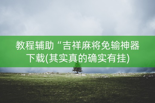 教程辅助“吉祥麻将免输神器下载(其实真的确实有挂)