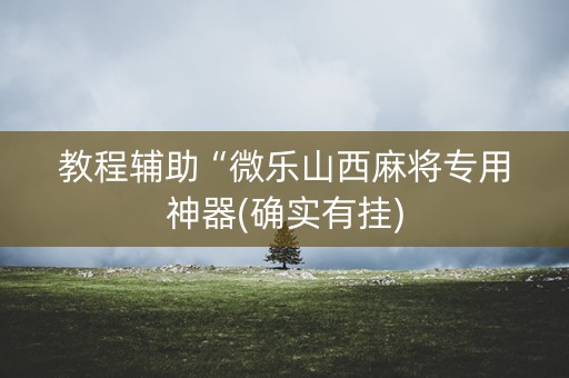 教程辅助“微乐山西麻将专用神器(确实有挂)