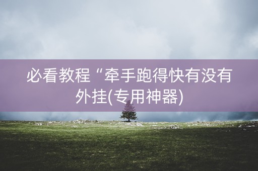 必看教程“牵手跑得快有没有外挂(专用神器)