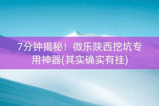7分钟揭秘！微乐陕西挖坑专用神器(其实确实有挂)