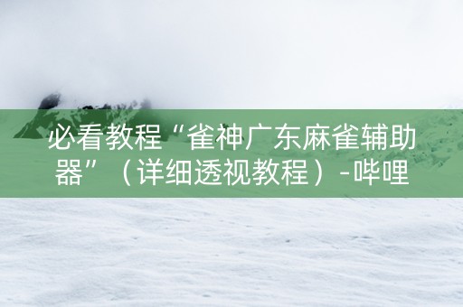 必看教程“雀神广东麻雀辅助器”（详细透视教程）-哔哩哔哩