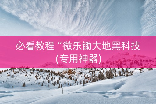 必看教程“微乐锄大地黑科技(专用神器)
