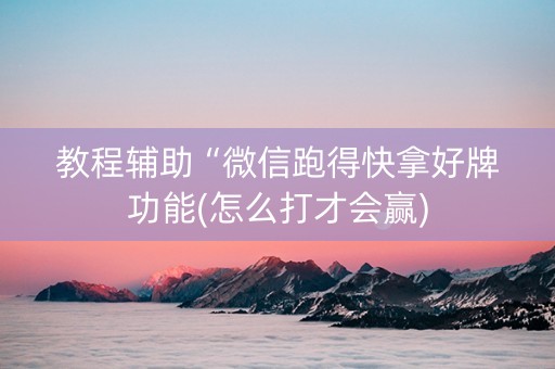 教程辅助“微信跑得快拿好牌功能(怎么打才会赢)