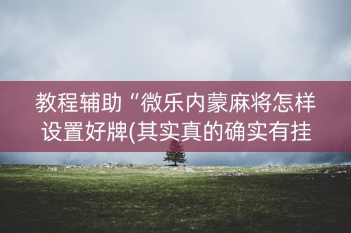 教程辅助“微乐内蒙麻将怎样设置好牌(其实真的确实有挂)