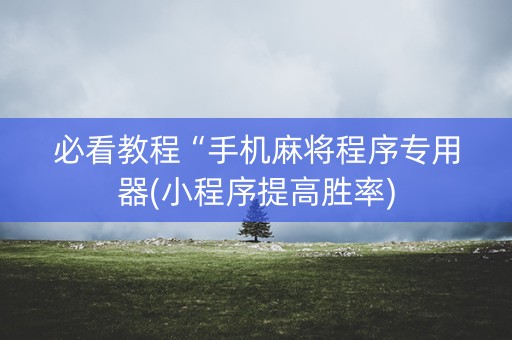 必看教程“手机麻将程序专用器(小程序提高胜率)