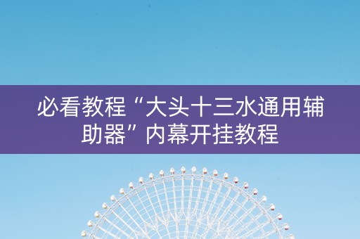 必看教程“大头十三水通用辅助器”内幕开挂教程