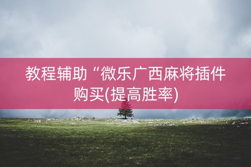 教程辅助“微乐广西麻将插件购买(提高胜率)
