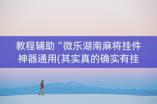 教程辅助“微乐湖南麻将挂件神器通用(其实真的确实有挂)