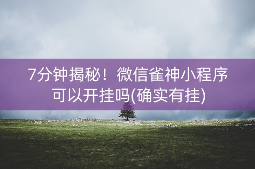 7分钟揭秘！微信雀神小程序可以开挂吗(确实有挂)