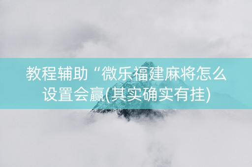 教程辅助“微乐福建麻将怎么设置会赢(其实确实有挂)