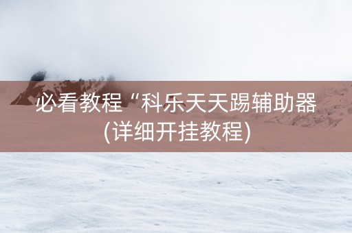 必看教程“科乐天天踢辅助器(详细开挂教程)