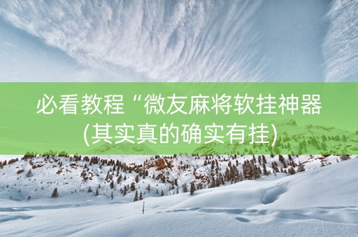 必看教程“微友麻将软挂神器(其实真的确实有挂)
