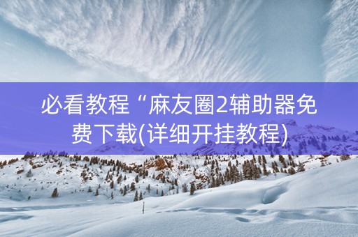 必看教程“麻友圈2辅助器免费下载(详细开挂教程)