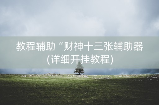 教程辅助“财神十三张辅助器(详细开挂教程)