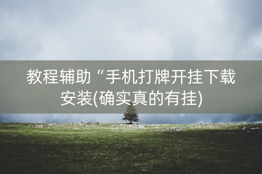 教程辅助“手机打牌开挂下载安装(确实真的有挂)