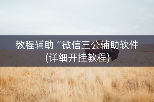 教程辅助“微信三公辅助软件(详细开挂教程)