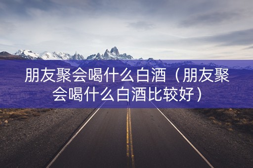 朋友聚会喝什么白酒（朋友聚会喝什么白酒比较好）
