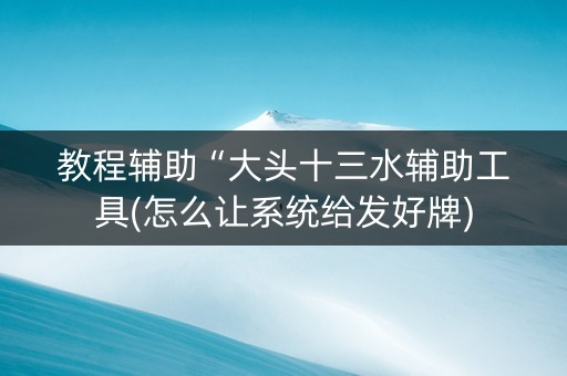 教程辅助“大头十三水辅助工具(怎么让系统给发好牌)