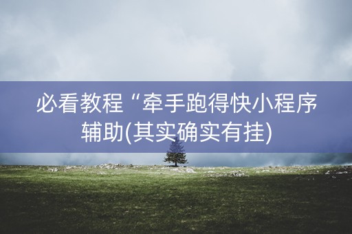 必看教程“牵手跑得快小程序辅助(其实确实有挂)