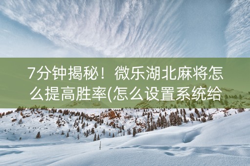 7分钟揭秘！微乐湖北麻将怎么提高胜率(怎么设置系统给你好牌)