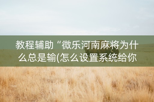 教程辅助“微乐河南麻将为什么总是输(怎么设置系统给你好牌)