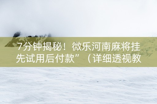 7分钟揭秘！微乐河南麻将挂先试用后付款”（详细透视教程）-哔哩哔哩
