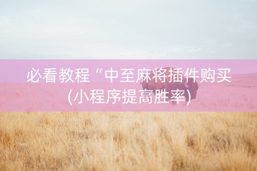必看教程“中至麻将插件购买(小程序提高胜率)
