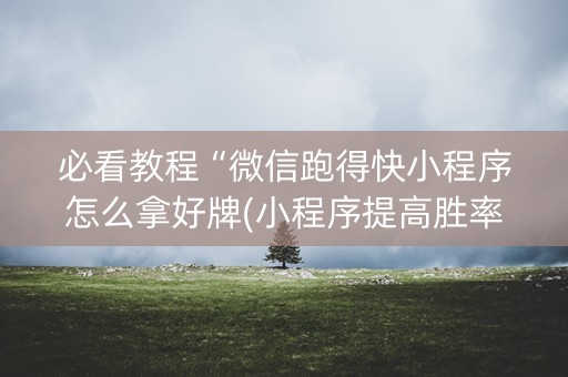 必看教程“微信跑得快小程序怎么拿好牌(小程序提高胜率)