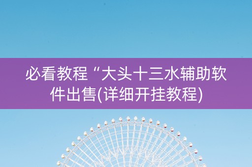 必看教程“大头十三水辅助软件出售(详细开挂教程)