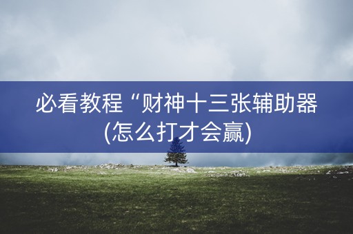 必看教程“财神十三张辅助器(怎么打才会赢)