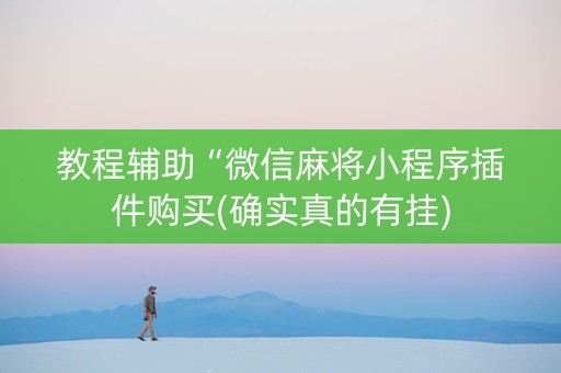 教程辅助“微信麻将小程序插件购买(确实真的有挂)