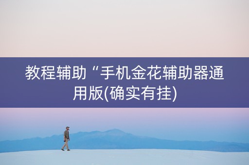 教程辅助“手机金花辅助器通用版(确实有挂)
