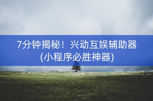 7分钟揭秘！兴动互娱辅助器(小程序必胜神器)