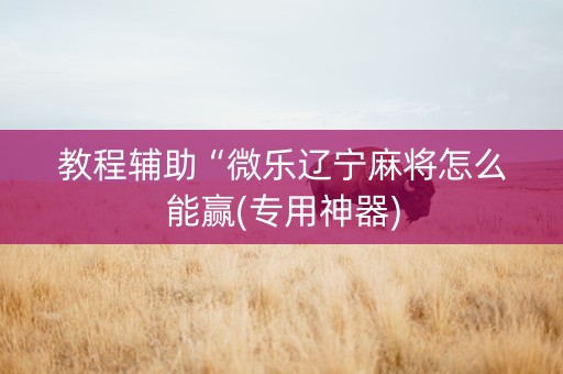 教程辅助“微乐辽宁麻将怎么能赢(专用神器)