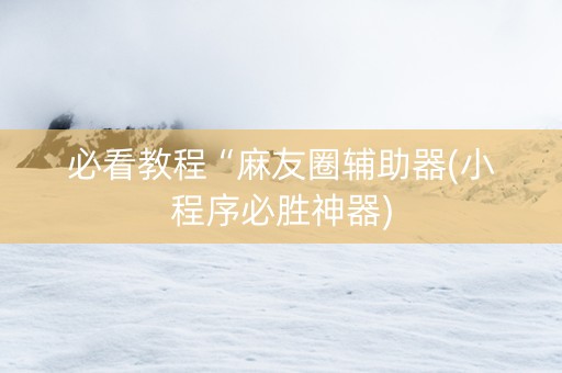 必看教程“麻友圈辅助器(小程序必胜神器)
