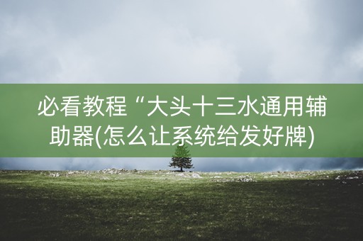 必看教程“大头十三水通用辅助器(怎么让系统给发好牌)