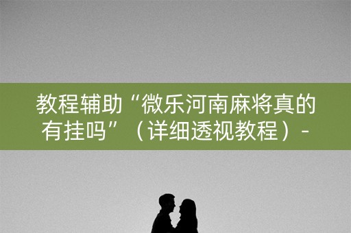 教程辅助“微乐河南麻将真的有挂吗”（详细透视教程）-哔哩哔哩