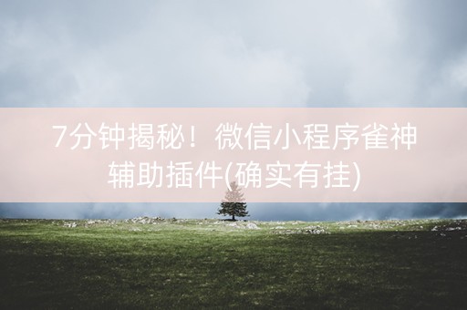 7分钟揭秘！微信小程序雀神辅助插件(确实有挂)