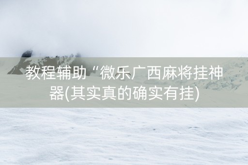 教程辅助“微乐广西麻将挂神器(其实真的确实有挂)