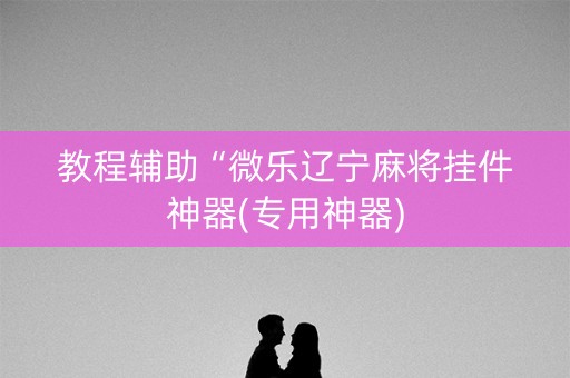 教程辅助“微乐辽宁麻将挂件神器(专用神器)