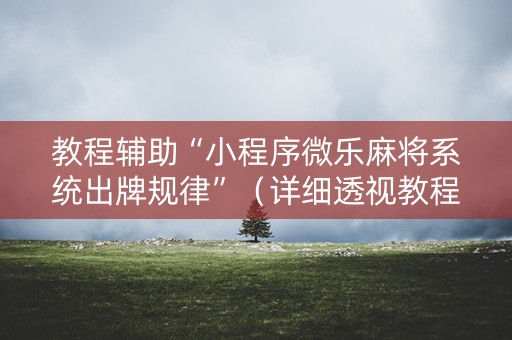 教程辅助“小程序微乐麻将系统出牌规律”(详细透视教程)-哔哩哔哩 教程辅助“小程序微乐麻将系统出牌规律”(详细透视教程)-哔哩哔哩