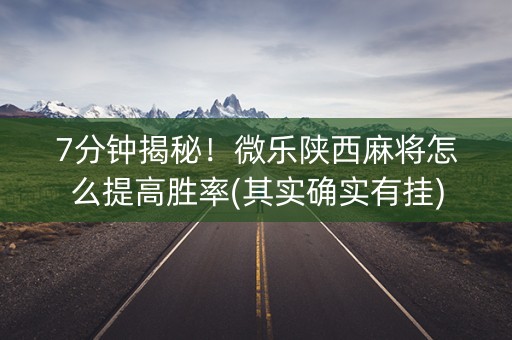 7分钟揭秘！微乐陕西麻将怎么提高胜率(其实确实有挂)