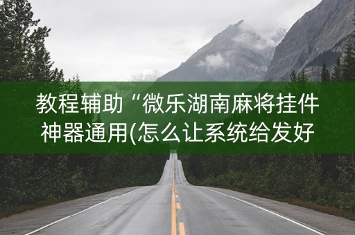 教程辅助“微乐湖南麻将挂件神器通用(怎么让系统给发好牌)